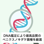 アントロキノノール®の製造方法